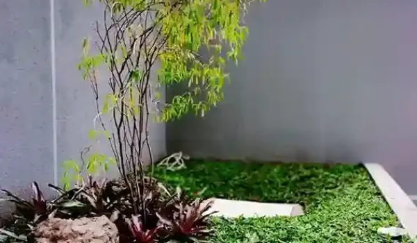 IMG-20250809-WA0103_11zon