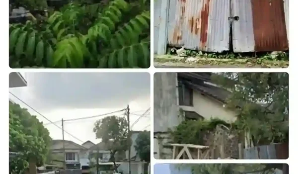 Jual Tanah Kavling di Cijagra Buahbatu Bandung -2