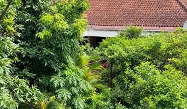 Rumah 2 Lantai di Tamansari Bandung