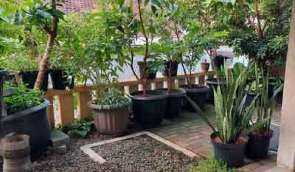 Rumah Kos di Jalan Bangka Mampang Prapatan Jakarta Selatan