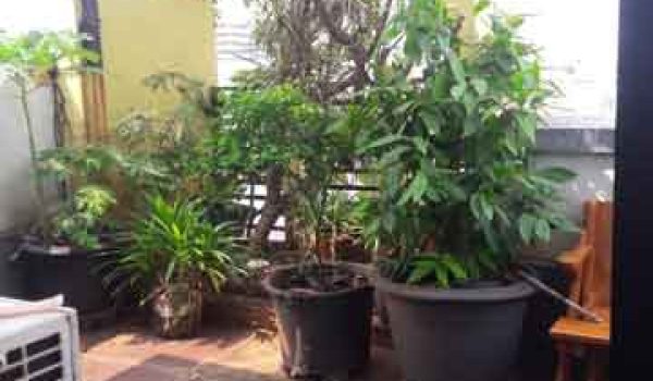 Rumah Kost di Taman Sari Jakarta Barat
