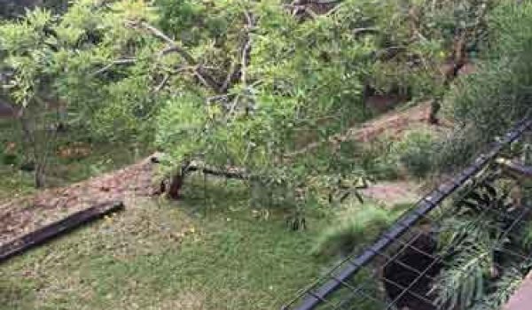 Rumah Mewah di Resor Dago Pakar Bandung Utara