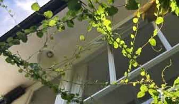 Rumah Semi Furnish di Griya Cikutra Bandung