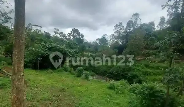 Tanah di Gambung Ciwidey Bandung -3