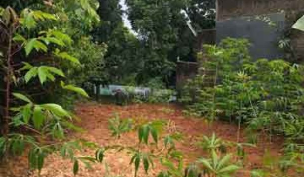 Tanah di Mainroad Rancakendal Cigadung Bandung