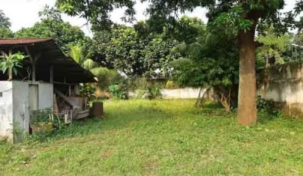 Tanah di Pejaten Timur Pasar Minggu Jakarta Selatan