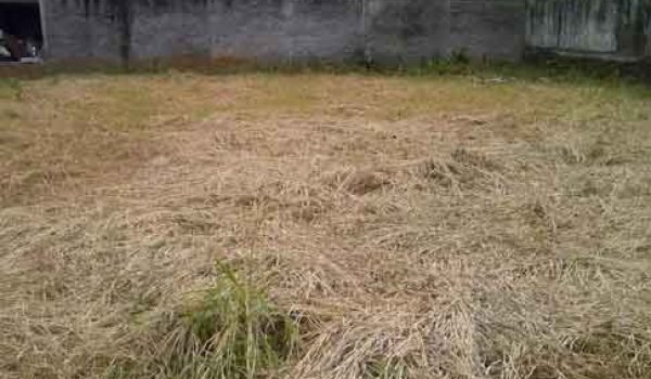 Tanah di Pejaten Timur Pasar Minggu Jakarta Selatan