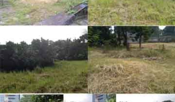 Tanah di Pejaten Timur Pasar Minggu Jakarta Selatan