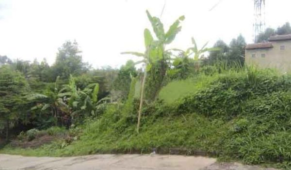 Jual Tanah di Ranca Kendal Cigadung Bandung Utara