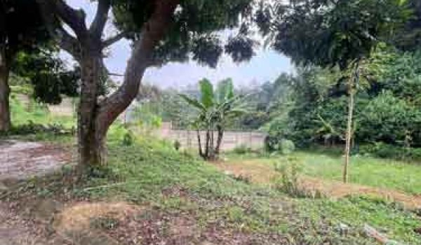 Tanah di Royal View Residence Ciwaruga Bandung Barat